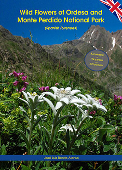Wild Flowers of Ordesa and Monte Perdido National Park